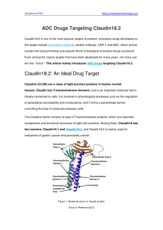 ADC Drugs Targeting Claudin18.2