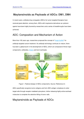 Maytansinoids as Payloads of ADCs DM1, DM4