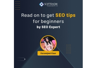 Read on to get SEO tips for beginners By SEO Expert