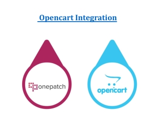 Opencart Multi-Channel Integration Solution | Best eCommerce Software Service