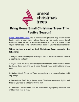 Bring Home Small Christmas Trees This Festive Season!