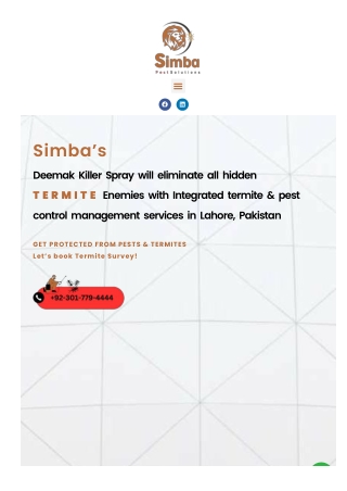 Termite control services in Lahore | simba pest solutions