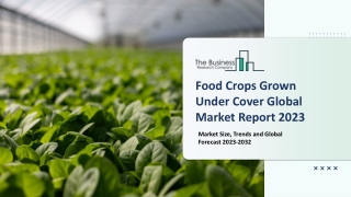 Food Crops Grown Under Cover Market 2023 - 2032