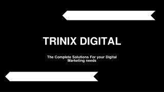 Best Digital Marketing Company in Kerala and Calicut