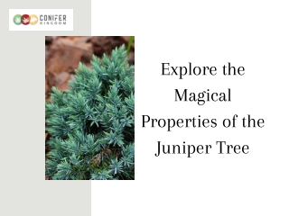 Exploring the Magical Properties of the Juniper Tree