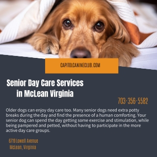 Senior Day Care Services in McLean Virginia
