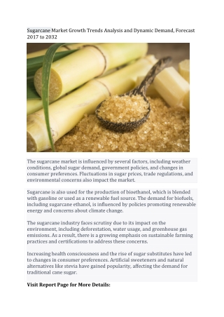 Sugarcane Market Growth Trends Analysis and Dynamic Demand, Forecast 2017 to 203