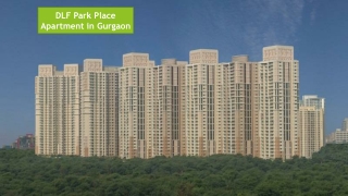 Rent DLF Park Place Apartment in Gurgaon | DLF Park Place for Rent