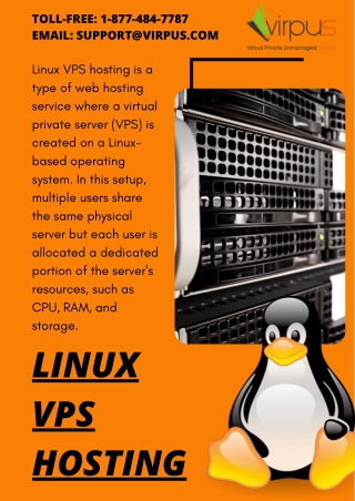 Linux VPS Hosting