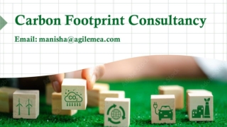 Carbon Footprint Consultancy, Agile Advisors