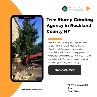 Tree Stump Grinding Agency in Rockland County NY