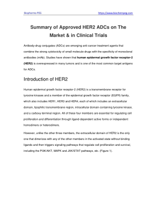 Summary of Approved HER2 ADCs on The Market & in Clinical Trials