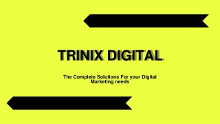 Best Digital Marketing Agency & Services in Kerala