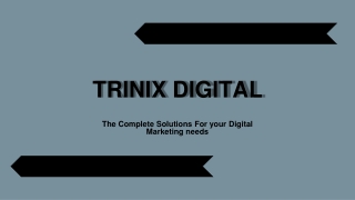 Elevate Your Website's Ranking with Trinix Digital, Calicut
