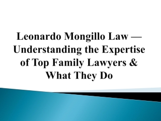 Leonardo Mongillo Law — Expertise of Top Family Lawyers & What They Do