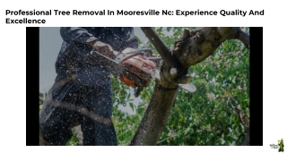 Professional Tree Removal In Mooresville Nc Experience Quality And Excellence