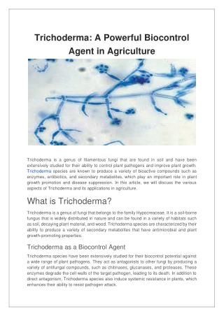 Trichoderma A Powerful Biocontrol Agent in Agriculture