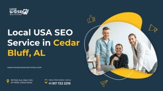 Local USA SEO Service in Cedar Bluff, AL