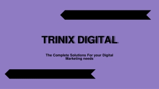 Trinix Digital - Digital Marketing Agency & Services in Malappuram