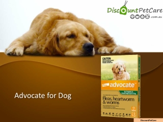 Advocate for Dogs:Advocate Flea Treatment For Dogs:Cheap Advocate Dog Treatment