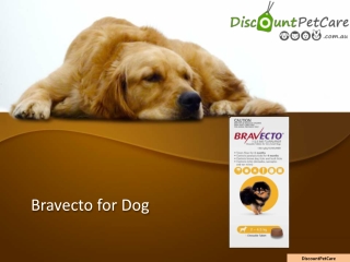 Bravecto for Dogs | Bravecto Flea & Tick | Flea Tablets for Dogs | Cheap Bravect