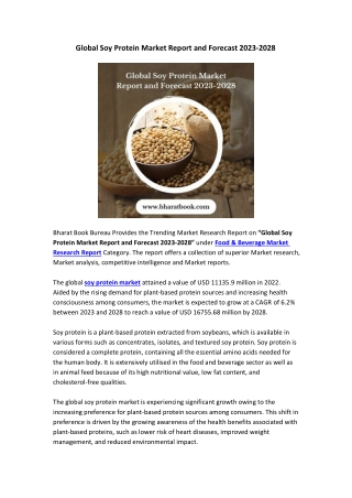 Global Soy Protein Market Report and Forecast 2023-2028