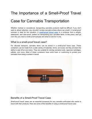 The Importance of a Smell-Proof Travel Case for Cannabis Transportation