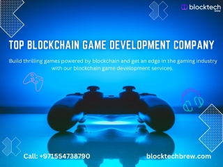 Blocktech Brew provides expert blockchain game development services