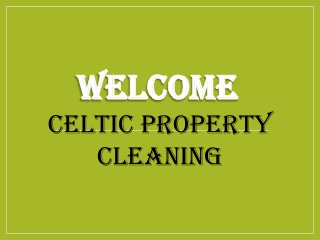 Best service for Window Cleaning in Three Bridges