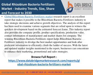 Rhizobium Bacteria Fertilizers Market- Agricultural & Animal feed