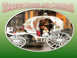 Wedding Horse and Carriage