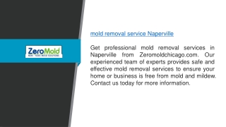 Mold Removal Service Naperville Zeromoldchicago