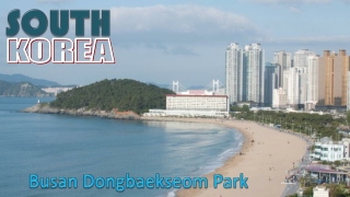 Korea Busan Dongbaekseom Park