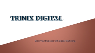 Best Digital Marketing Agency in Calicut - 2023