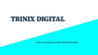 Top SEO Services in Calicut, Kozhikode | Trinix Digital