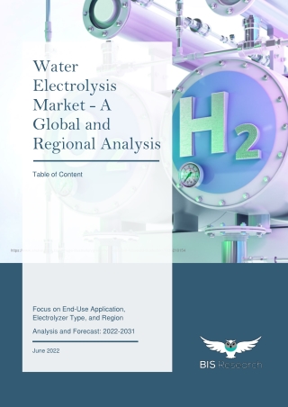 Water Electrolysis Market