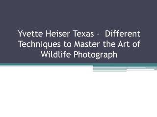 Yvette Heiser Texas –  Different Techniques to Master the Art of Wildlife Photography