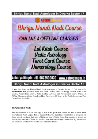 Bhrigu Nandi Nadi Astrologer in Dwarka Sector 17  91-9873530830