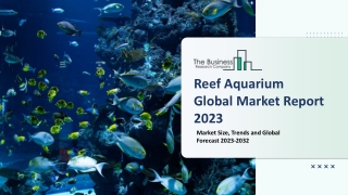 Reef Aquarium Market 2023 - CAGR Status, Major Players, Forecasts 2032