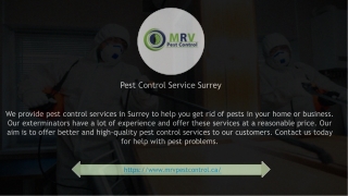 Pest Control Service Surrey