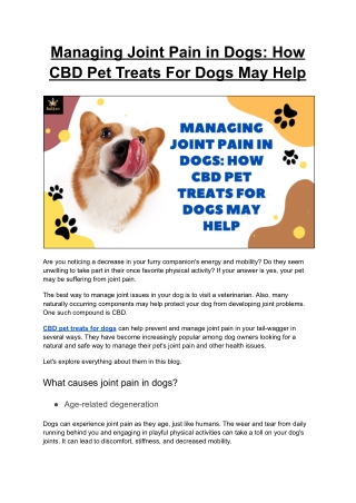 Managing Joint Pain in Dogs: How CBD Pet Treats For Dogs May Help