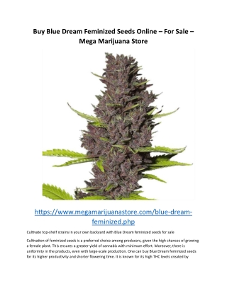 Buy Blue Dream Feminized Seeds Online