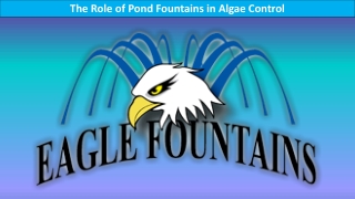 The Role of Pond Fountains in Algae Control