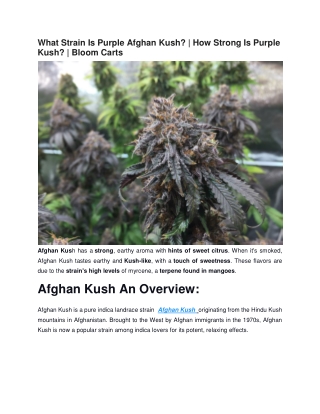 What Strain Is Purple Afghan Kush