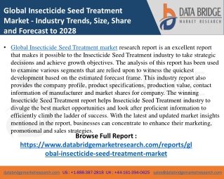 Insecticide Seed Treatment Market- Agricultural & Animal feed