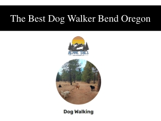 Best Dog Walker Bend Oregon