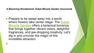 A Blooming Wonderland: Dubai Miracle Garden Uncovered