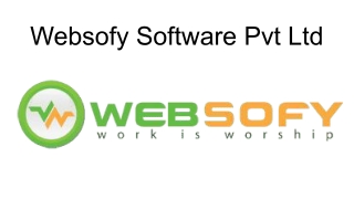 Best Digital Marketing Company in Lucknow - Websoft Software Pvt . Ltd