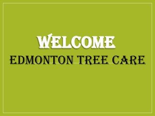 Best Tree Services in Tamarack