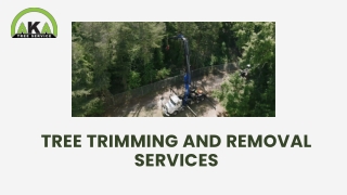 Get Tree Trimming and Removal Services in Atlanta, GA at AKA Tree Service